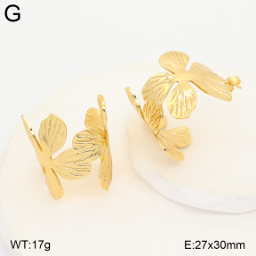 2E2007512baka-434  Stainless Steel Earrings