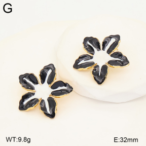 2E3004259baka-434  Stainless Steel Earrings