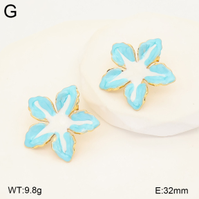 2E3004260baka-434  Stainless Steel Earrings