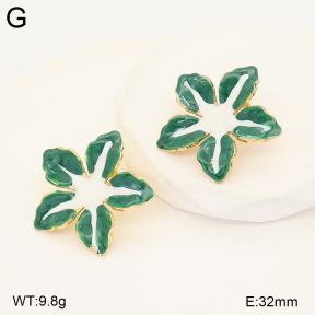 2E3004261baka-434  Stainless Steel Earrings