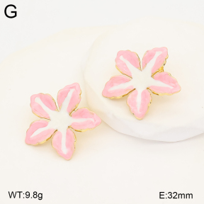 2E3004262baka-434  Stainless Steel Earrings