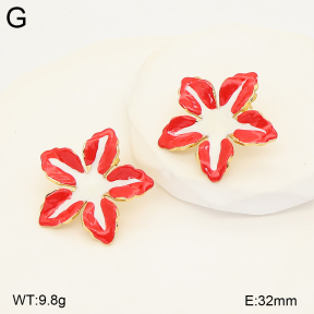 2E3004263baka-434  Stainless Steel Earrings