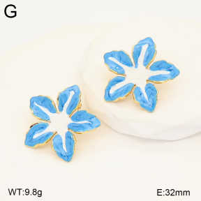 2E3004264baka-434  Stainless Steel Earrings
