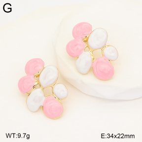 2E3004265baka-434  Stainless Steel Earrings