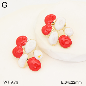 2E3004266baka-434  Stainless Steel Earrings
