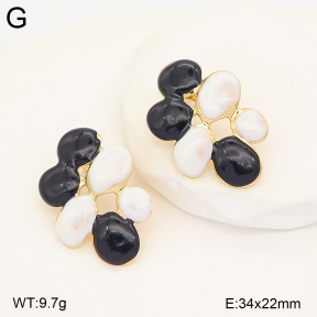 2E3004267baka-434  Stainless Steel Earrings