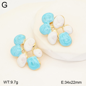2E3004268baka-434  Stainless Steel Earrings