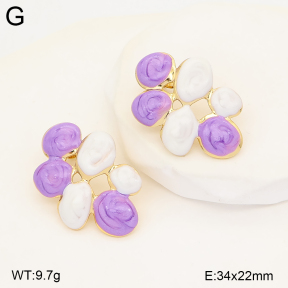 2E3004269baka-434  Stainless Steel Earrings