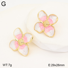 2E3004270baka-434  Stainless Steel Earrings