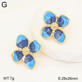 2E3004271baka-434  Stainless Steel Earrings