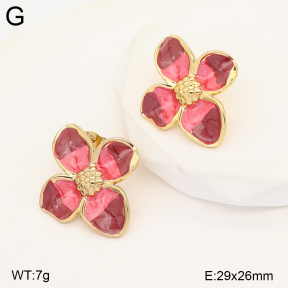 2E3004272baka-434  Stainless Steel Earrings