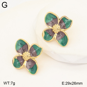 2E3004273baka-434  Stainless Steel Earrings