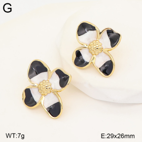 2E3004274baka-434  Stainless Steel Earrings