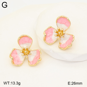 2E3004275vbnb-434  Stainless Steel Earrings