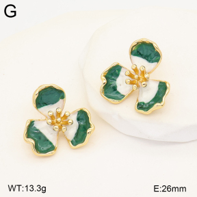 2E3004276vbnb-434  Stainless Steel Earrings