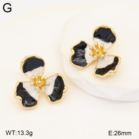 2E3004277vbnb-434  Stainless Steel Earrings