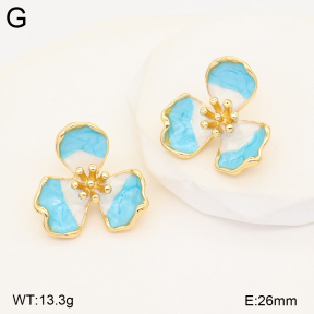 2E3004278vbnb-434  Stainless Steel Earrings