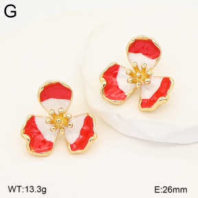 2E3004279vbnb-434  Stainless Steel Earrings