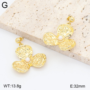 2E3004281aakl-434  Stainless Steel Earrings