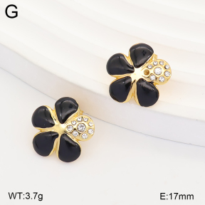2E3004284vbll-434  Stainless Steel Earrings