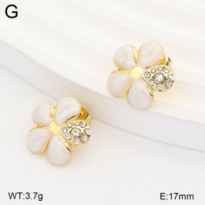 2E3004285vbll-434  Stainless Steel Earrings