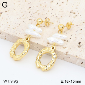 2E3004286vbmb-434  Stainless Steel Earrings