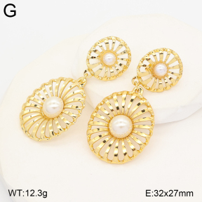 2E3004289vbll-434  Stainless Steel Earrings