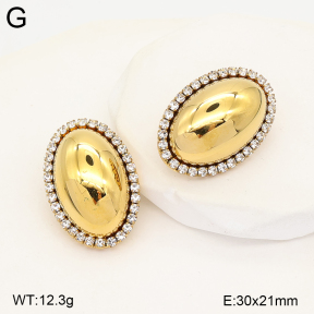 2E4005556bhbl-434  Stainless Steel Earrings