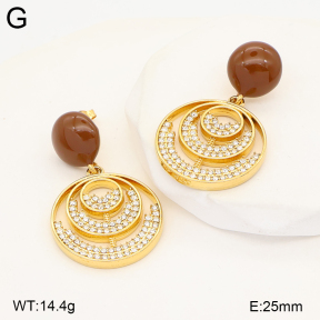 2E4005557vhhl-434  Stainless Steel Earrings