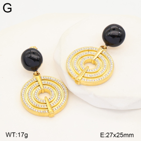 2E4005558vhhl-434  Stainless Steel Earrings