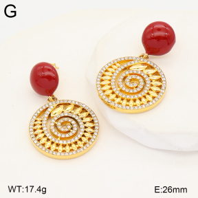2E4005559vhhl-434  Stainless Steel Earrings