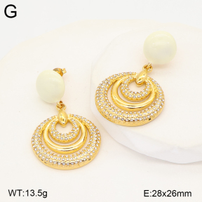2E4005560vhhl-434  Stainless Steel Earrings