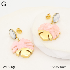 2E4005561vbmb-434  Stainless Steel Earrings