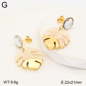 2E4005562vbmb-434  Stainless Steel Earrings