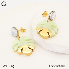 2E4005563vbmb-434  Stainless Steel Earrings