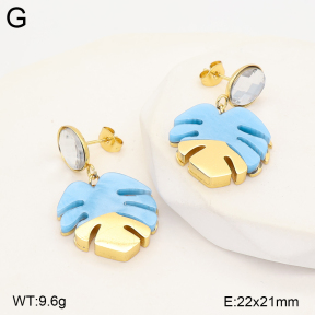 2E4005564vbmb-434  Stainless Steel Earrings