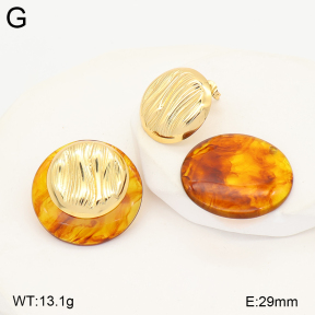 2E4005565ablb-434  Stainless Steel Earrings