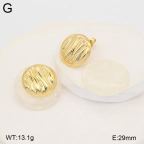 2E4005566ablb-434  Stainless Steel Earrings