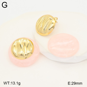 2E4005567ablb-434  Stainless Steel Earrings