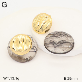 2E4005568ablb-434  Stainless Steel Earrings