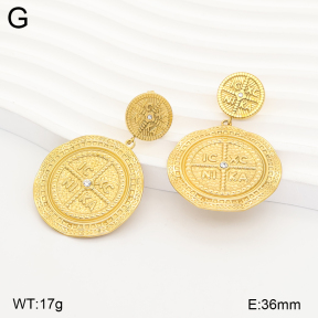 2E4005569vbpb-434  Stainless Steel Earrings