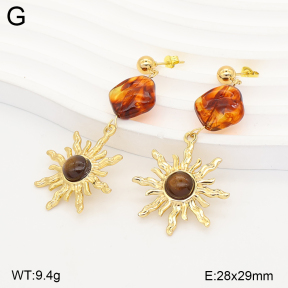 2E4005570vbmb-434  Stainless Steel Earrings