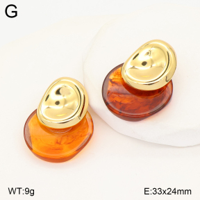 2E4005572vbll-434  Stainless Steel Earrings