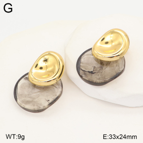 2E4005573vbll-434  Stainless Steel Earrings