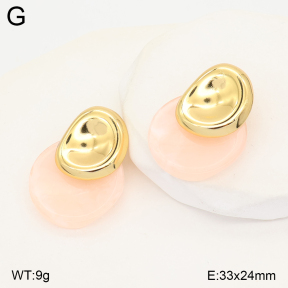 2E4005574vbll-434  Stainless Steel Earrings