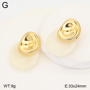 2E4005575vbll-434  Stainless Steel Earrings