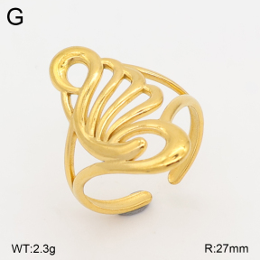 2R2002529vail-434  Stainless Steel Ring