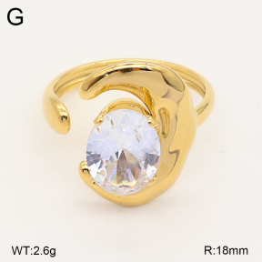 2R4002335vbll-434  Stainless Steel Ring