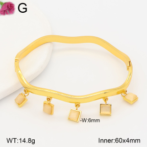 F2BA41193vhha-J158  Fashion Bangle