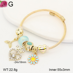 F2BA41203vbpb-J39  Fashion Bangle